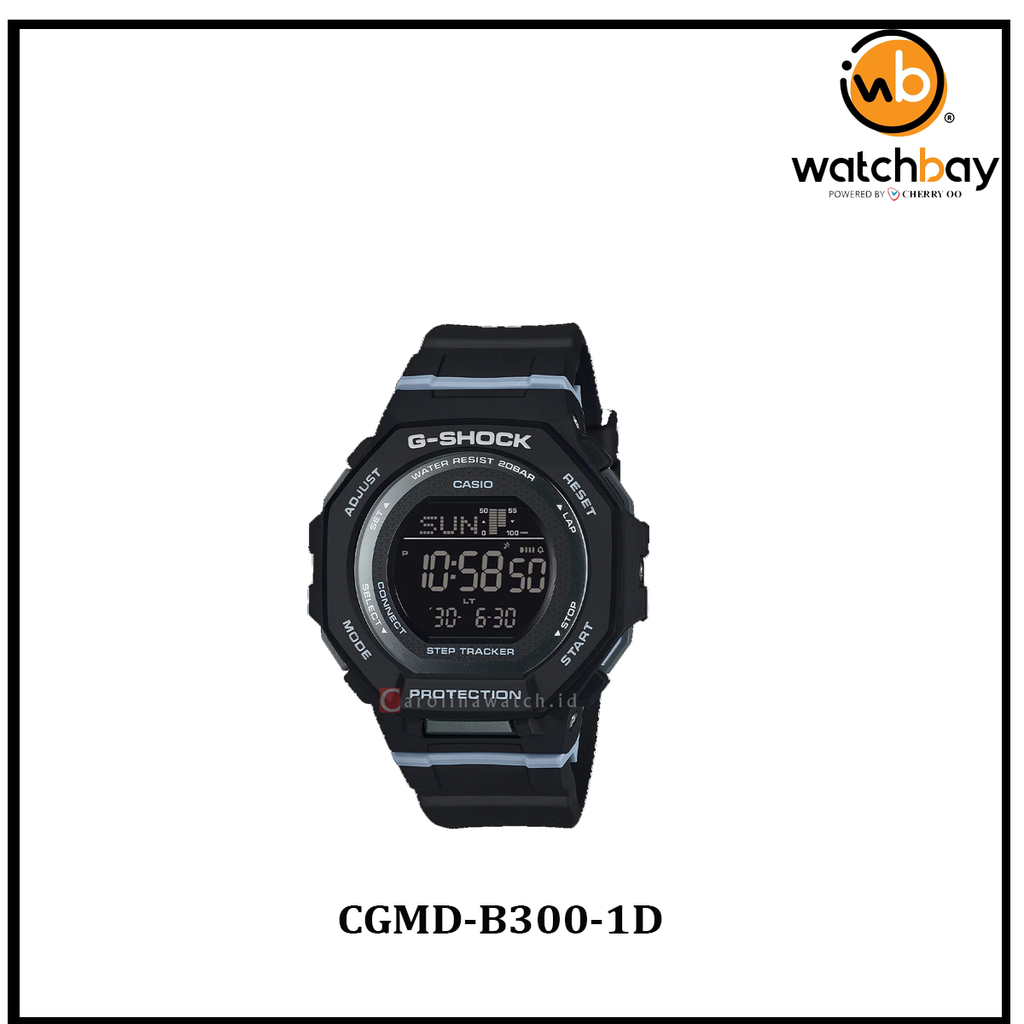 CGMD-B300-1D