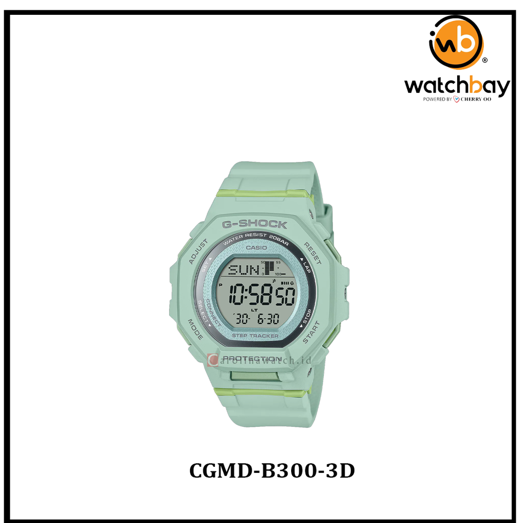 CGMD-B300-3D