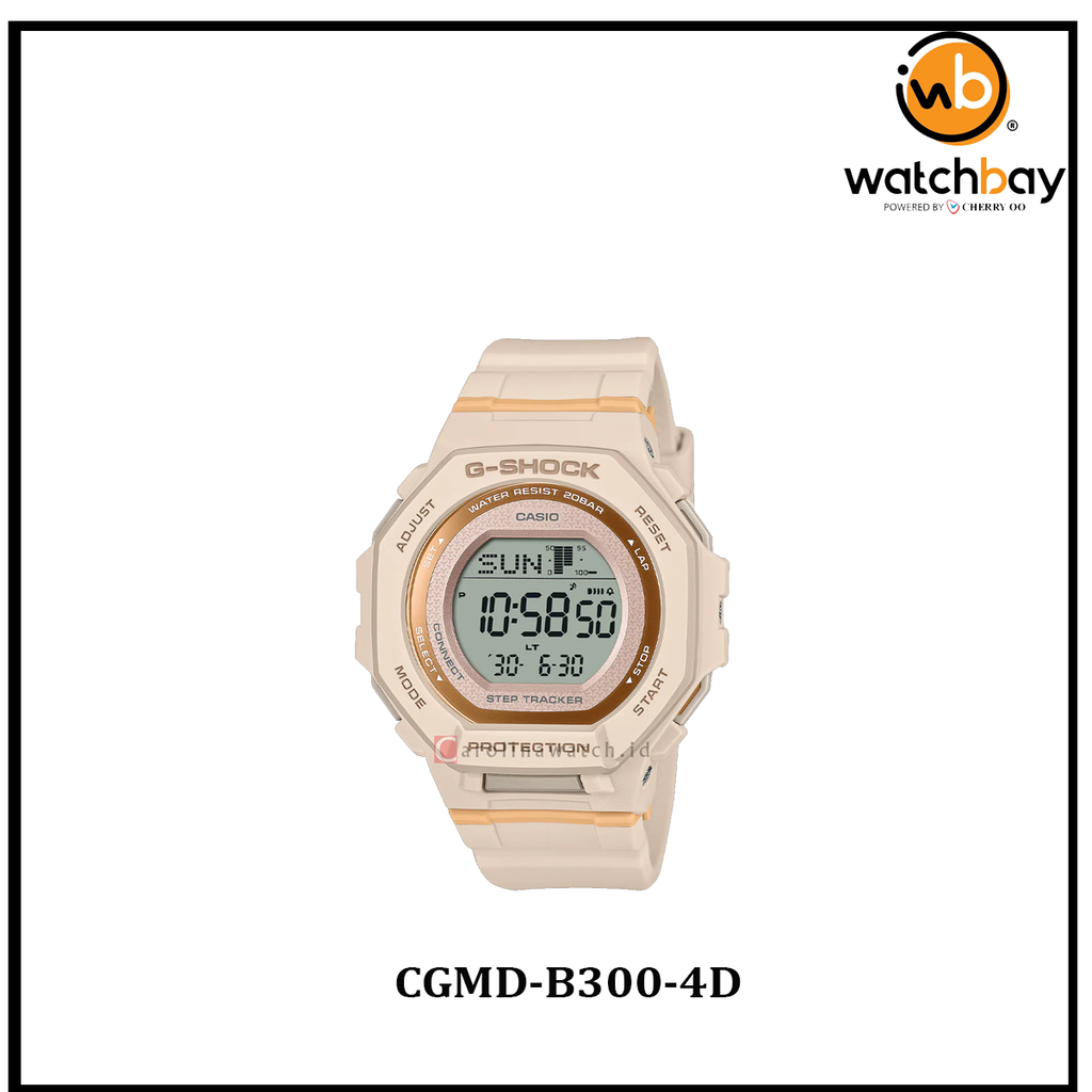 CGMD-B300-4D