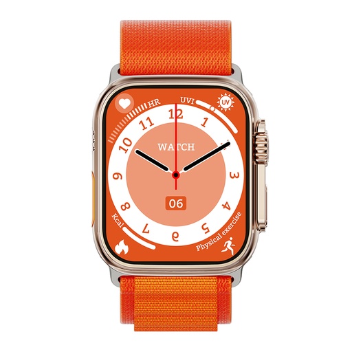 [MW0024] W69Mini(Titanium)